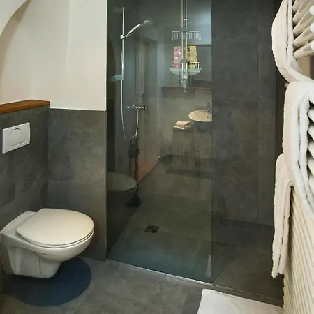 Appartement Goldgasse De Luxe Salzburg