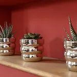 Apartamento Goldgasse De Luxe *